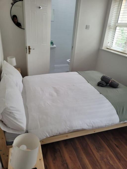 Stylish 4 Bedroom Dublin House ภายนอก รูปภาพ