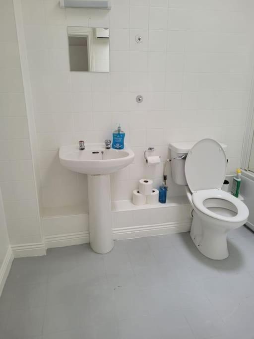 Stylish 4 Bedroom Dublin House ภายนอก รูปภาพ